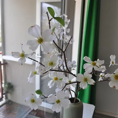 Backbordkajuete Am Steinhuder * ヴンストルフ